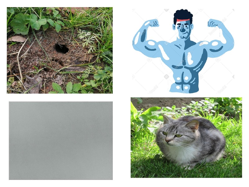 Файл:4 тур Крылов 3-4 класс.pdf